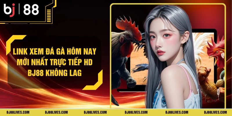 Link Xem Đá Gà Hôm Nay Mới Nhất Trực Tiếp HD BJ88