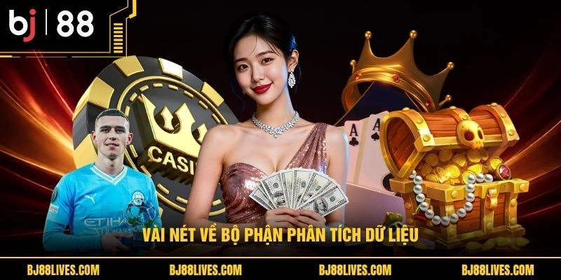 Vài nét về bộ phận phân tích dữ liệu 