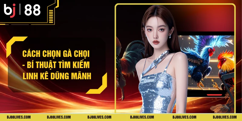 Cách Chọn Gà Chọi - Bí Thuật Tìm Kiếm Linh Kê Dũng Mãnh