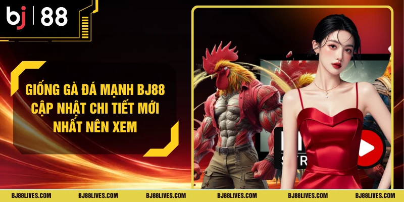 Giống Gà Đá Mạnh BJ88 Cập Nhật Chi Tiết Mới Nhất Nên Xem