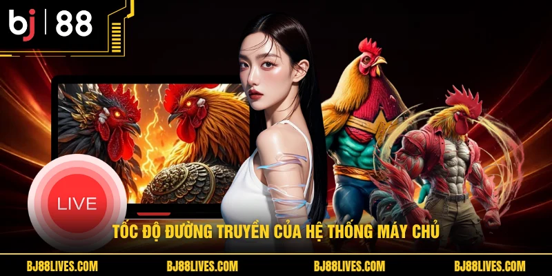 Tốc độ đường truyền của hệ thống máy chủ